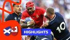 Scotland v Tonga