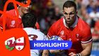 Wales v Georgia