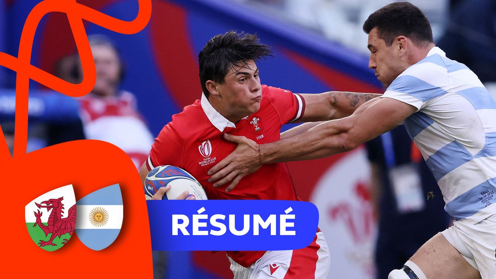 WalesArgentinaFR