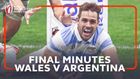 Final moments of Wales v Argentina