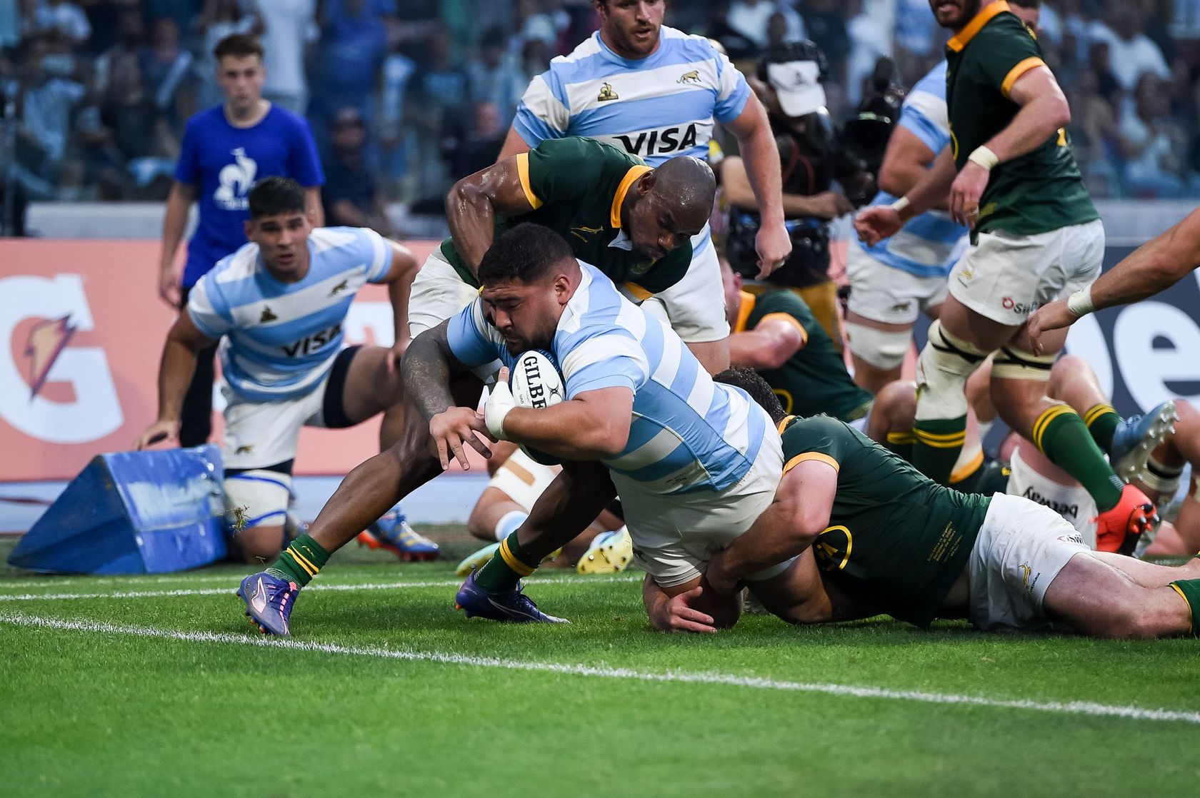 Argentina v South Africa 2024
