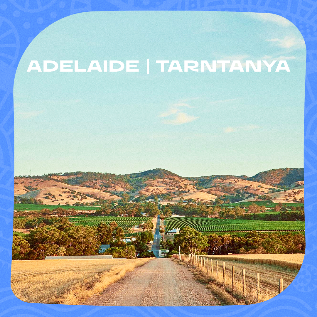 RWC27_THUMBNAILS_ADELAIDE_16x9