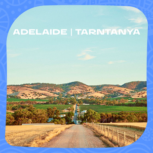 RWC27_THUMBNAILS_ADELAIDE_1x1