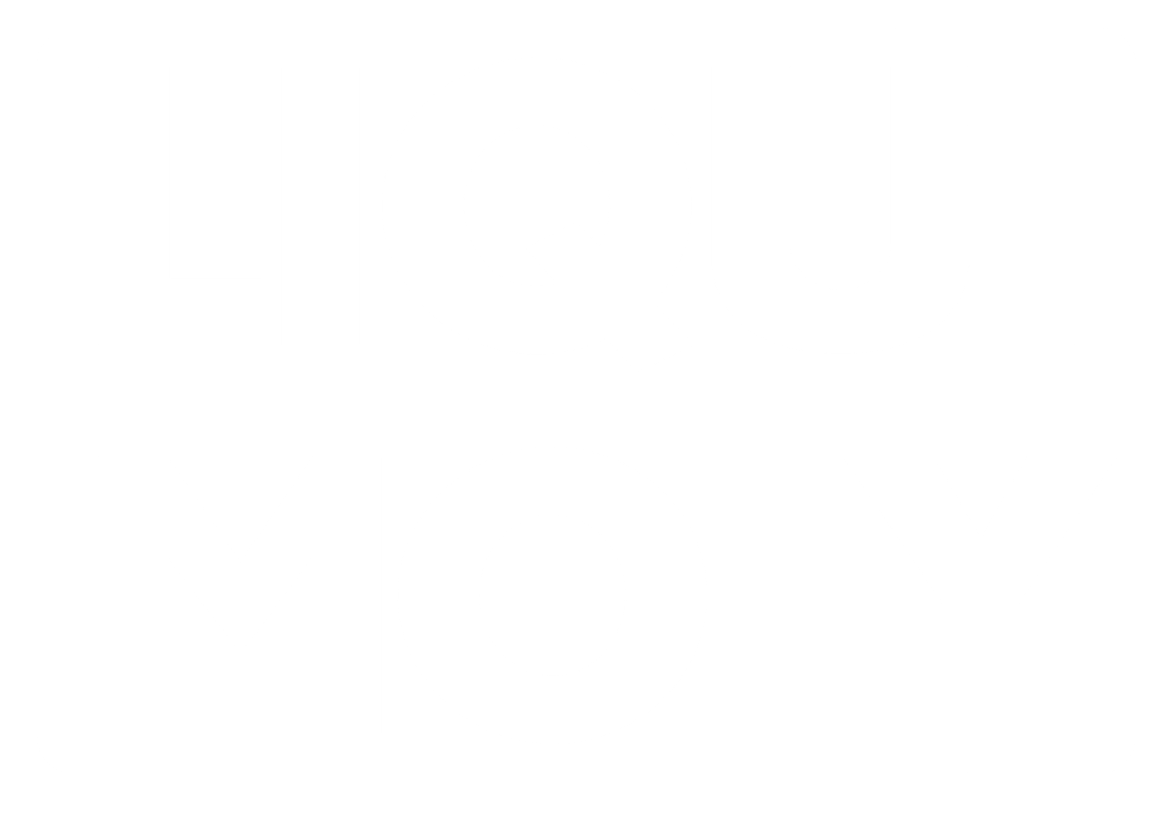 LIQUI MOLY