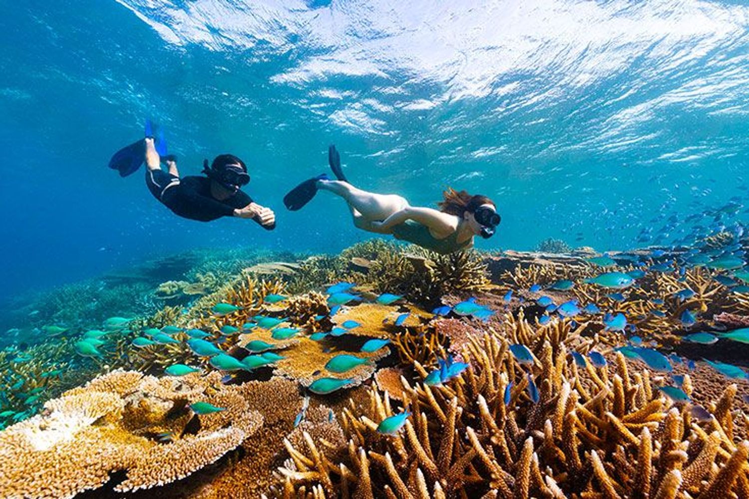 JohnBrewerReef-870x490