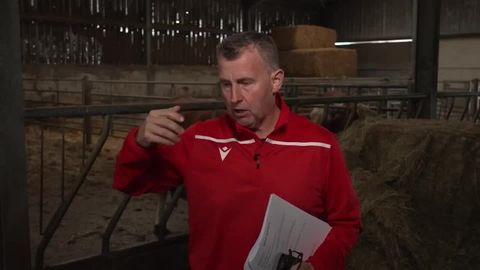 Should a game end just because of a knock-on?