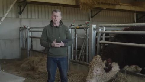 Should Ireland's Sam Prendergast have been sent off?