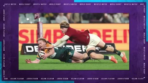 Did the Springboks break the law?