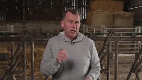 Who’s at fault for the Springboks' drop-out mishap?