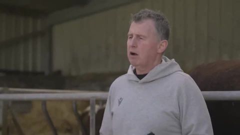 Foul play or foul luck in Dublin?