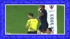Should France's Romain Taofifenua have seen red against Uruguay?