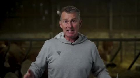 Should the Lions' last-minute try have stood?