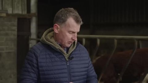 Will a Springbok win World Player of the Year?