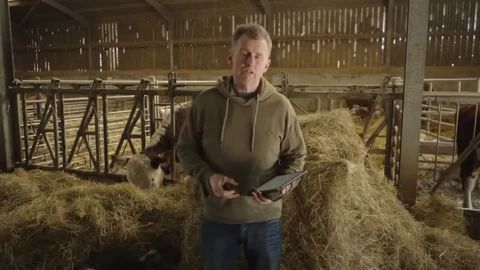 When the referee is put in an impossible position