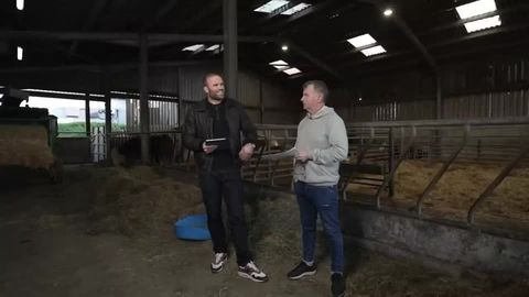 Understanding South Africa's back-to-back red cards