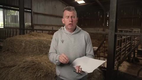 How did the Lions and Wallabies keep all their players on the field?