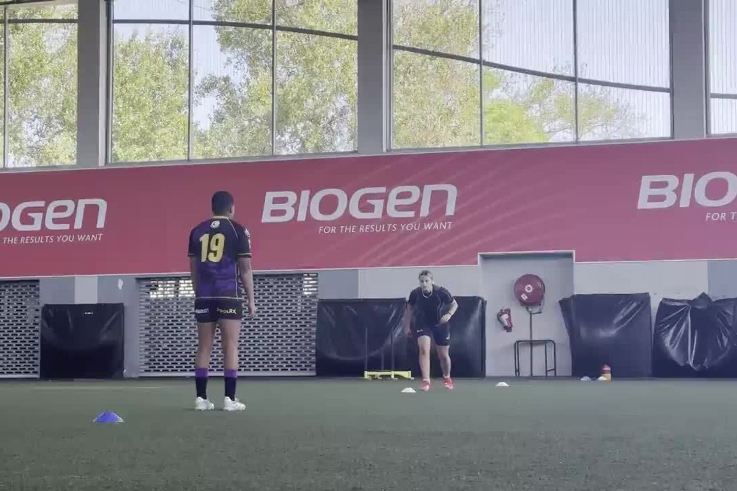 45 Degree Coach Signal Cuts